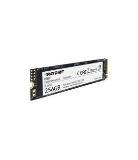 PATRIOT P300 256GB SSD M.2 2280 PCIe Εσωτερικός Σκληρός Δίσκος